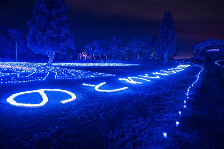 「オヂヤホタル　OJIYA HOTARU illumination」2024年の様子