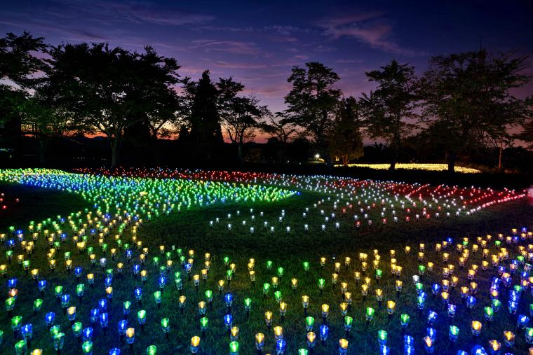 「オヂヤホタル　OJIYA HOTARU illumination」