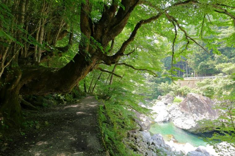 【奈良】涼を求めて奈良・天川村へ！渓谷ハイキングに鍾乳洞探検、温泉まで楽しむ夏