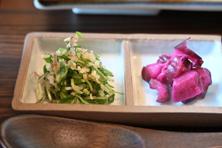 2025 年 7 月 OPEN！土佐茶×和食「土佐茶食堂ちゃづる」