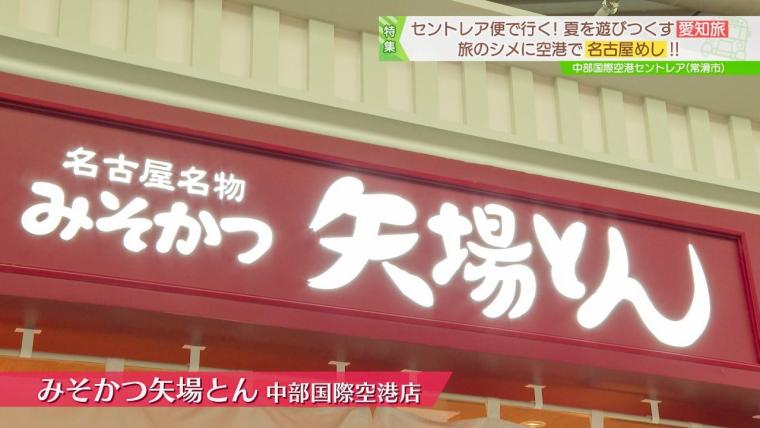 日本一近くで飛行機を眺められる！テーマパークのような中部国際空港セントレア空港！