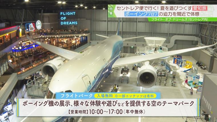 日本一近くで飛行機を眺められる！テーマパークのような中部国際空港セントレア空港！