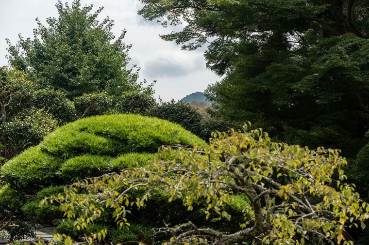 吐月峰柴屋寺