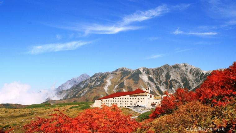 富山の紅葉 2025「室堂平｜立山黒部アルペンルート」日帰りできる標高 2450m 火山湖、天然温泉、ライチョウも