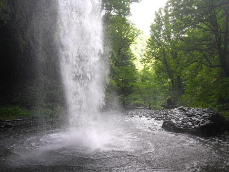 まるで異世界に来たよう…。鳥取県の山奥にある、24 メートルの高さの迫力ある滝！