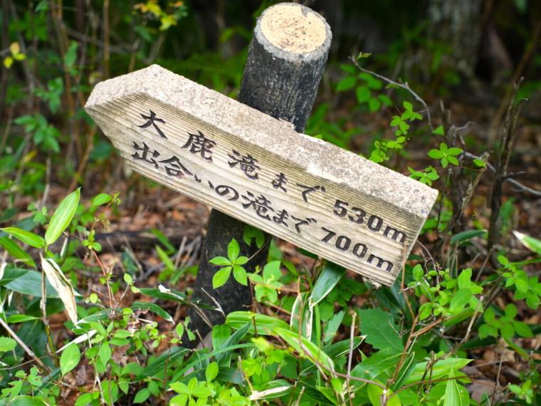 まるで異世界に来たよう…。鳥取県の山奥にある、24 メートルの高さの迫力ある滝！