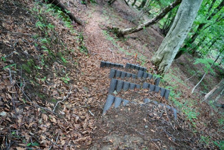 まるで異世界に来たよう…。鳥取県の山奥にある、24 メートルの高さの迫力ある滝！