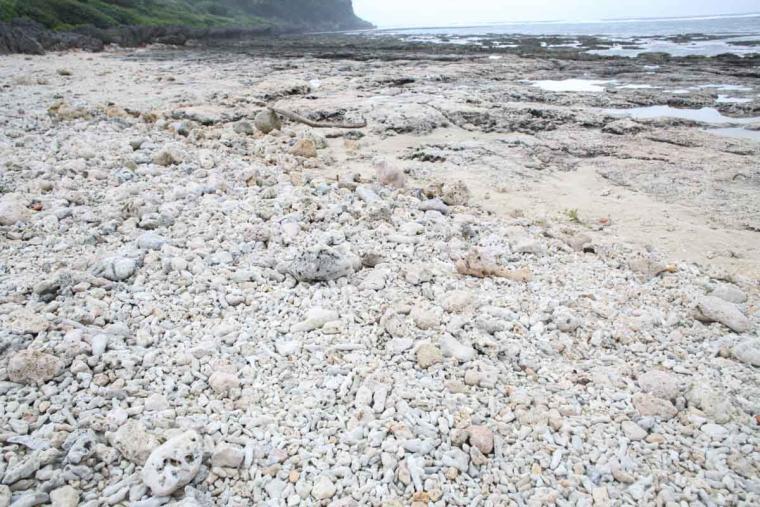 沖縄の天然水族館！神秘的なイノーが広がる、ジョン万ビーチ（大度浜海岸）の絶景と魅力を詳しく解説（糸満市）