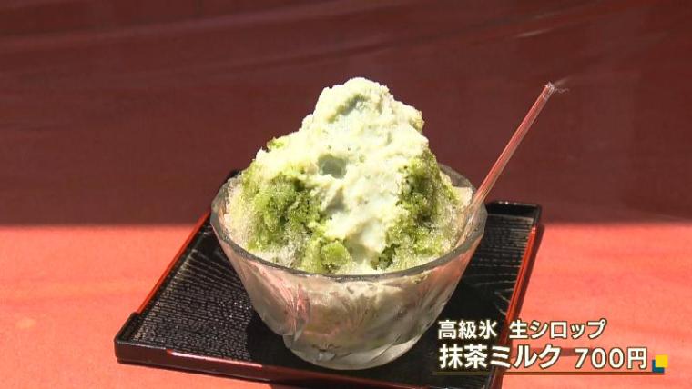 【静岡県静岡市・三保街道】神の道を歩いて三保松原へ! 御穂神社から広がる絶景と地元グルメを満喫