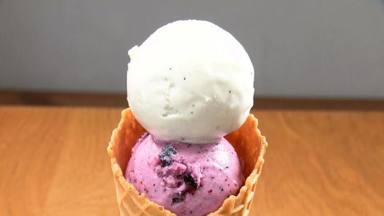 【静岡県静岡市】「用宗港グルメ」港直送！シラス料理5選 丼だけで終わらない タイ料理もスイーツもシラスたっぷり