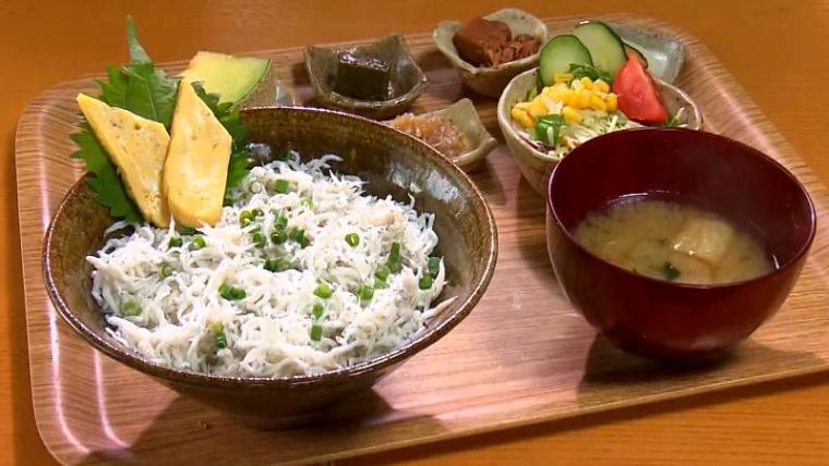 【静岡県静岡市】「用宗港グルメ」港直送！シラス料理5選 丼だけで終わらない タイ料理もスイーツもシラスたっぷり