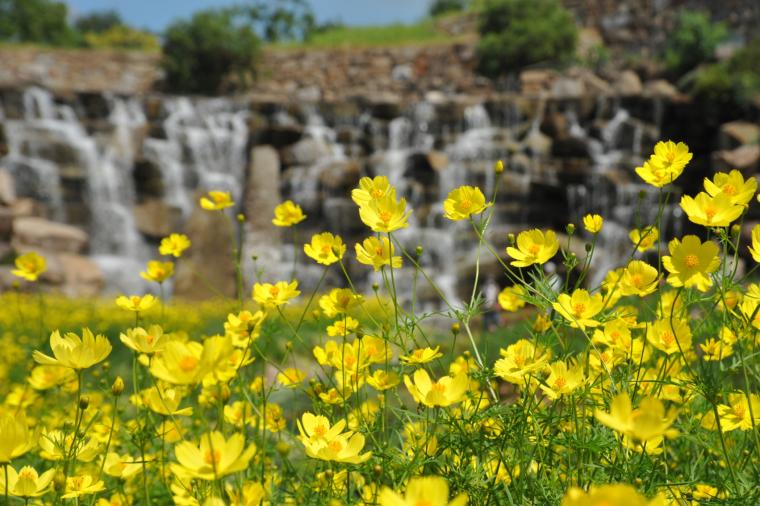 「国営讃岐まんのう公園」青竜の谷