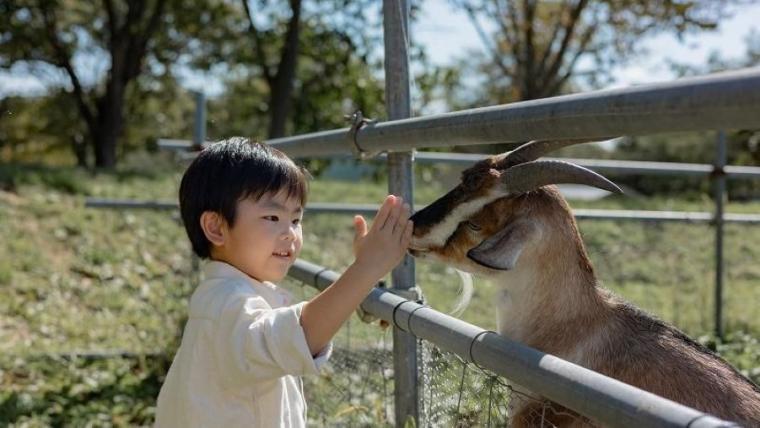 「これぞ北海道！」動物×絶景の癒しスポット！獣医師ママライター興奮の子どもに体験させたい貴重なメニューも