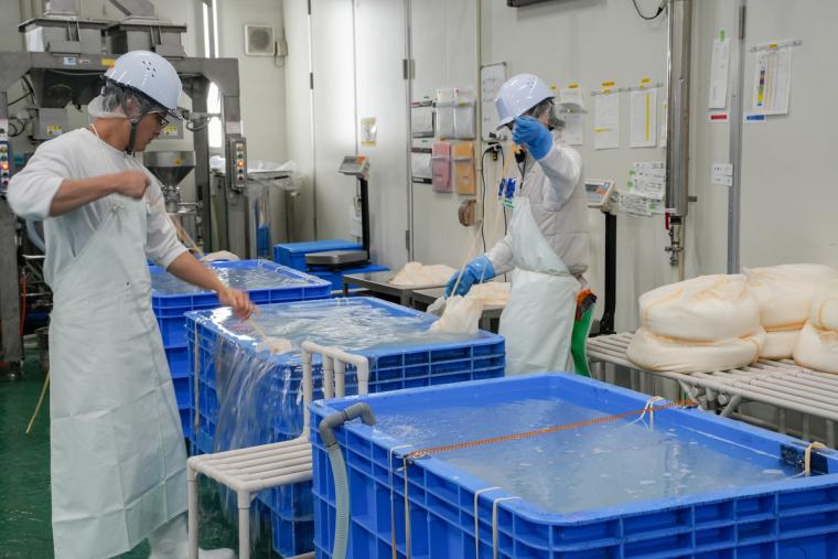 日本酒「獺祭」の酒蔵見学に参加してみた！人の手間とデータで造り上げる変わらない美味しさ｜山口県岩国市