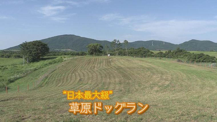 【大分】標高８５０m の高原で動物の世界に入り込める新施設