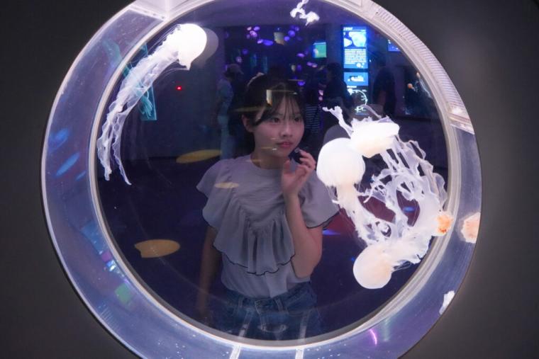 西日本で唯一シロイルカがいる島根県浜田市水族館で「幸せのバブルリング」を見てきた！