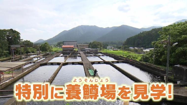 【静岡県富士宮市・白糸滝養魚場】行列ができるニジマスの唐揚げ 白糸ノ滝近くの穴場スポットへ GO！