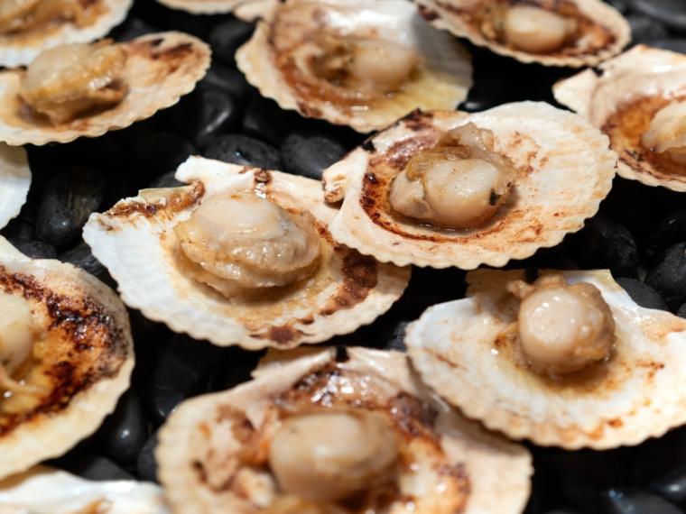 インフィニティ温泉と約 150 種類の贅沢ブッフェを堪能「函館湯の川温泉 海と灯」