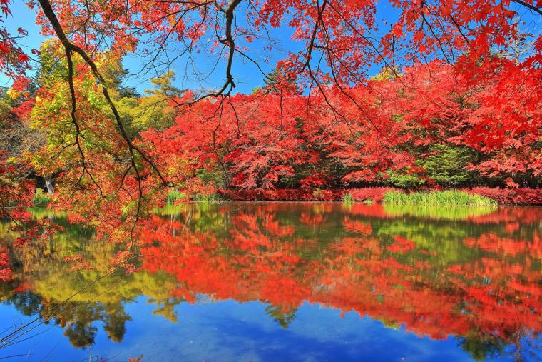 軽井沢 雲場池