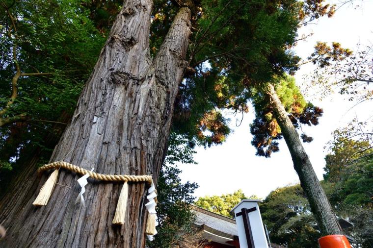 息栖神社
