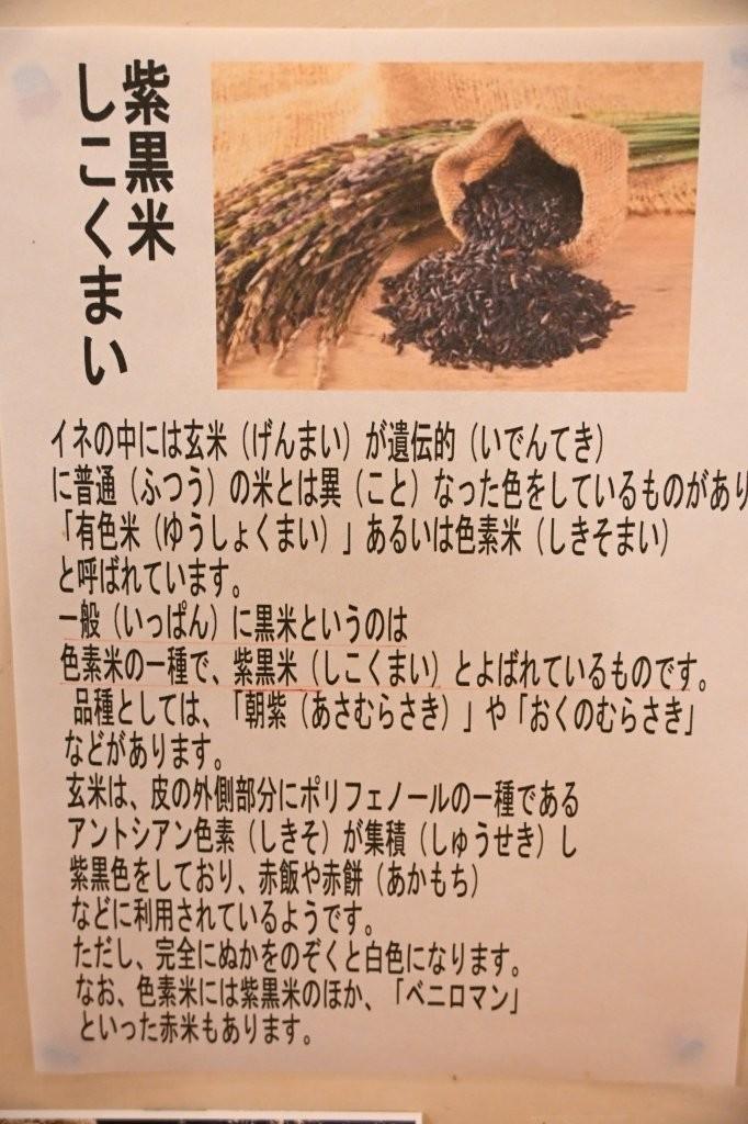 【高知】名物！紫黒うどんは必食！「直販所 山と川」