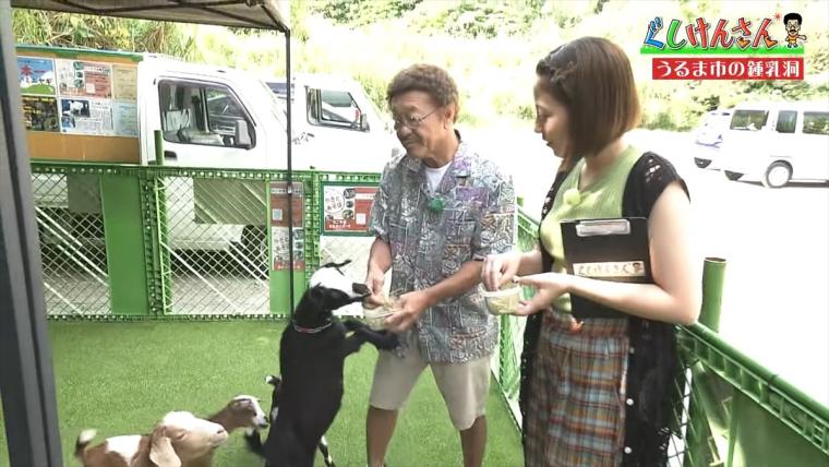 具志堅用高がヤギを飼う!?鍾乳洞にカフェ、動物とも触れ合える CAVE OKINAWA（ケイブ オキナワ）で大はしゃぎ！【ぐしけんさん】