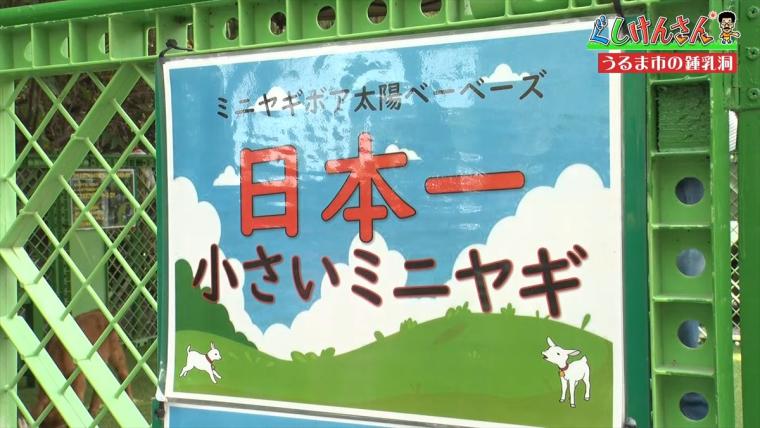 具志堅用高がヤギを飼う!?鍾乳洞にカフェ、動物とも触れ合える CAVE OKINAWA（ケイブ オキナワ）で大はしゃぎ！【ぐしけんさん】