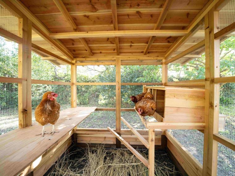 「お屋敷ステイ 幸」ニワトリ小屋