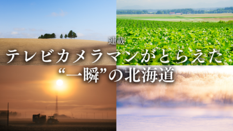 「見るもの全てを非日常の景色に」霧の魔法にかかった真っ白な十勝平野【北海道の絶景・写真 11 枚】