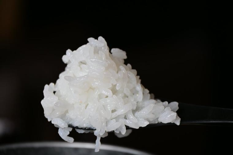【高知】生簀で泳ぐ魚を注文！鮮度も旨さも抜群「活魚 漁ま」