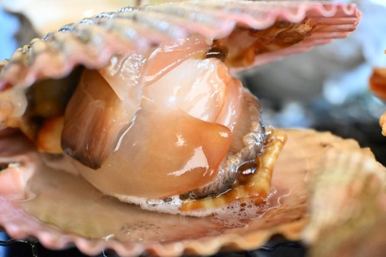 【高知】生簀で泳ぐ魚を注文！鮮度も旨さも抜群「活魚 漁ま」