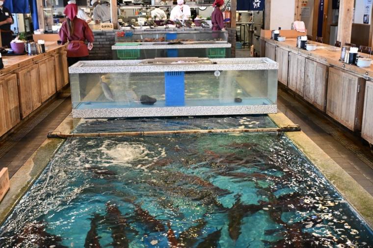 【高知】生簀で泳ぐ魚を注文！鮮度も旨さも抜群「活魚 漁ま」