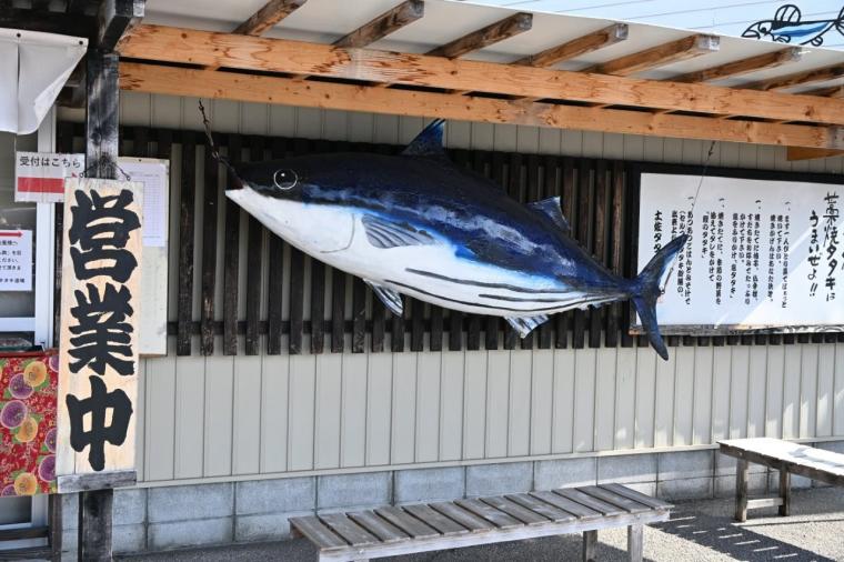 【高知】予約不要で藁焼き体験ができるカツオのタタキ専門店「土佐タタキ道場」