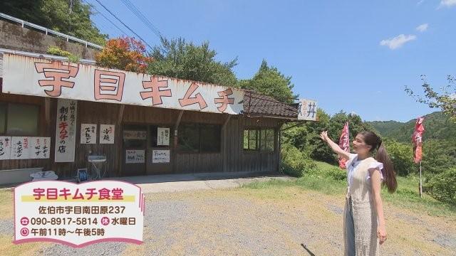 【大分】圧倒的スケールを全身で遊ぶ！藤河内渓谷のキャニオニング