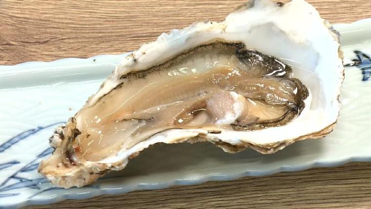 【静岡県静岡市・河岸の市】海鮮の誘惑と絶品マグロ丼! 2025 年にリニューアルした魚市場