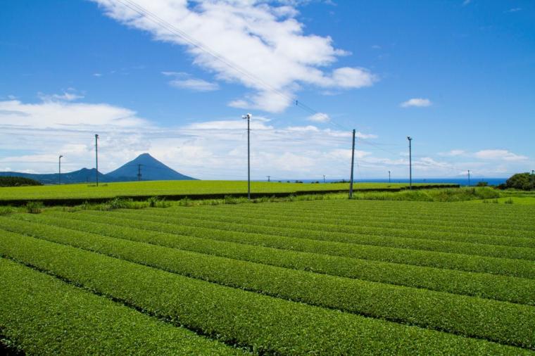 平和を考える旅。知覧で特攻隊の歴史をひもとくピースツーリズム