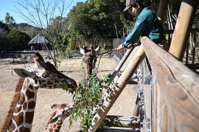 来園者数 600 万人突破！動物たちの自然な姿を観察できる大人気観光スポット「高知県立のいち動物公園」