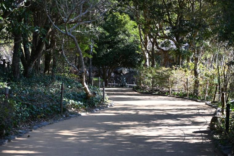 来園者数 600 万人突破！動物たちの自然な姿を観察できる大人気観光スポット「高知県立のいち動物公園」
