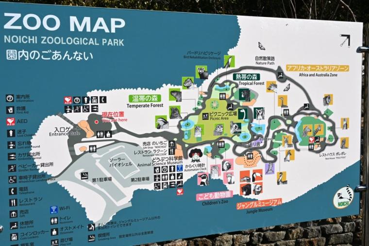 来園者数 600 万人突破！動物たちの自然な姿を観察できる大人気観光スポット「高知県立のいち動物公園」