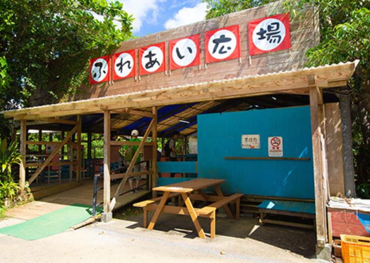 動物たちとの”ゼロ距離”体験が待っている！「ネオパーク沖縄」