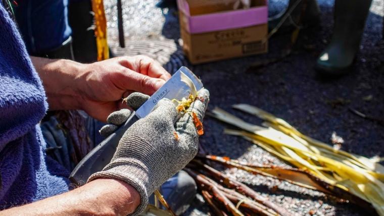 1300年の歴史！鳥取・青谷「あおや和紙工房」で和紙作り体験