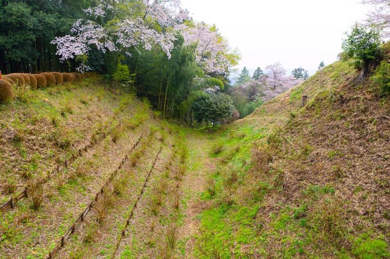 「黒羽城址公園・黒羽芭蕉の館」