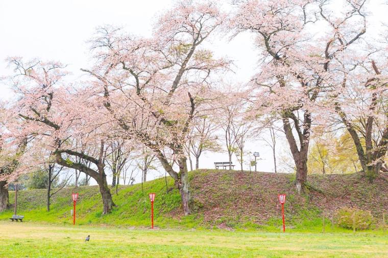 「大田原城址公園（龍城公園）」