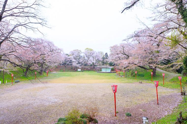 「大田原城址公園（龍城公園）」