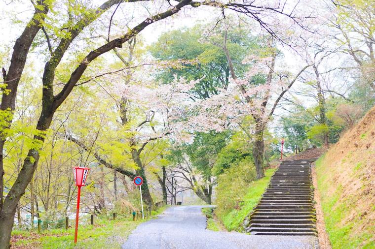 「大田原城址公園（龍城公園）」