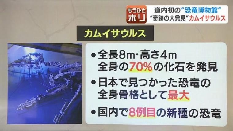 「神様からの贈りもの」北海道の新スポットがオープン！奇跡の恐竜の本物化石が足元に