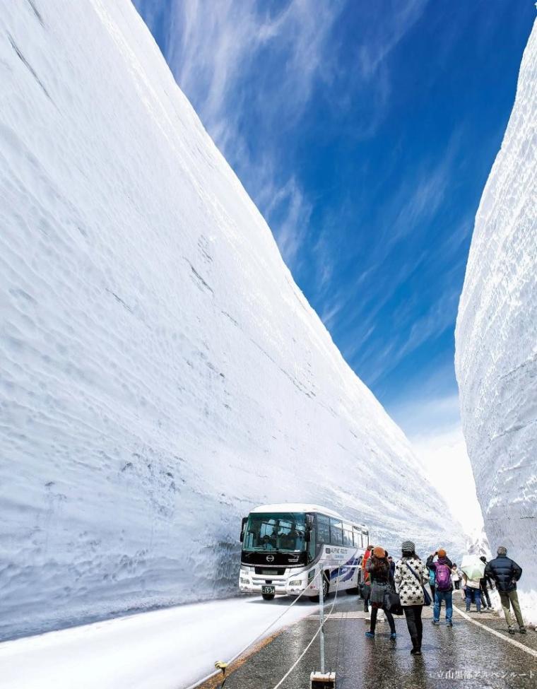 高さ 10m 超！【雪の大谷のヒミツ】世界でも希少な“雪の壁”はどうやって作る？