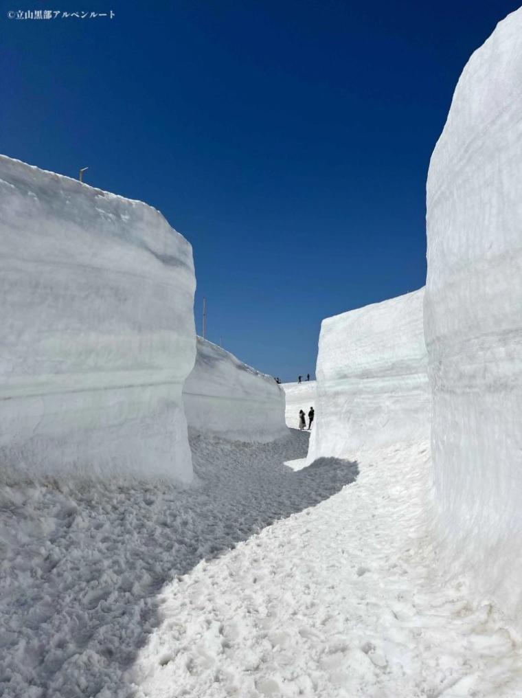 絶景“雪の大谷”2026 年は高さ 12m【立山黒部アルペンルート】全線開業 55 周年! 春だけのイベントが目白押し