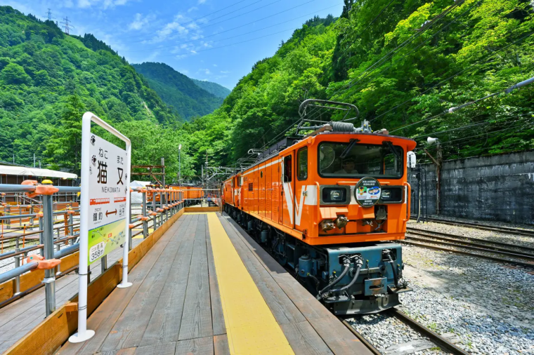 トロッコ電車で日本一深い V 字峡へ【2026 黒部峡谷鉄道】宇奈月温泉の源泉露天風呂や全国で唯一“猫”がつく「猫又駅」へ