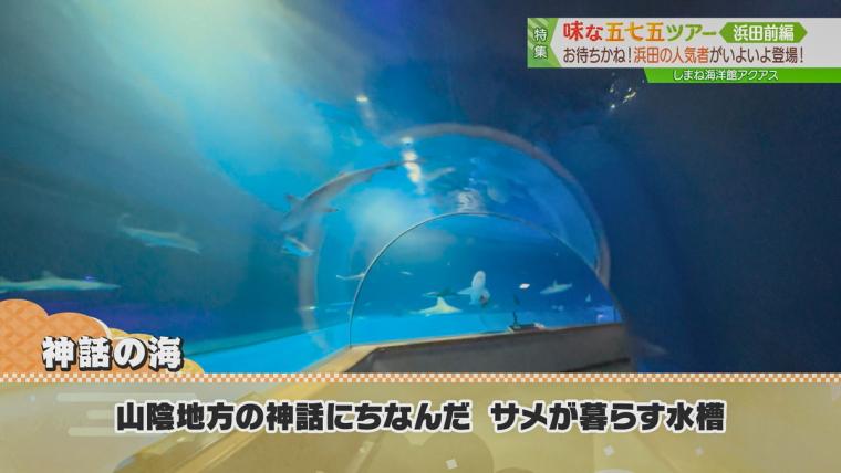 約400種一万点の海の生き物が見られる中四国最大級の水族館！｜浜田市